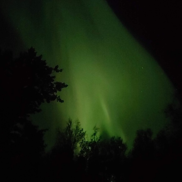 Greetings from Alaska! - Picture 5 of 7